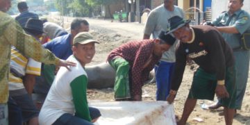 KEMENAG ADAKAN PENYEMBELIHAN HEWAN QURBAN